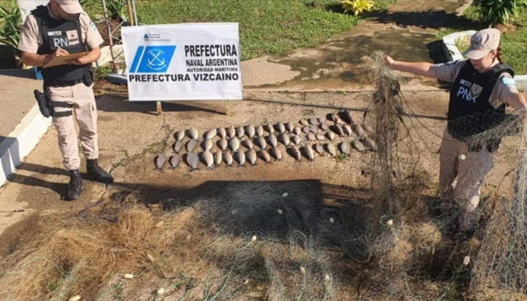 DECOMISARON CASI 50 KILOS DE PESCADOS Y 300 METROS DE MALLÓN