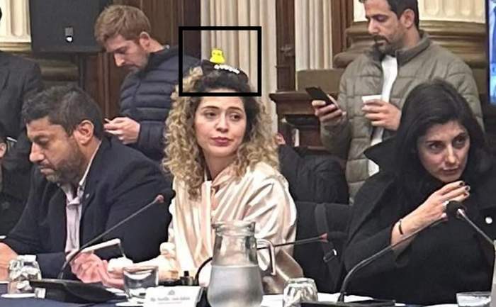 UNA DIPUTADA DE MILEI FUE A LA SESIÓN CON UN “PATITO” EN LA CABEZA