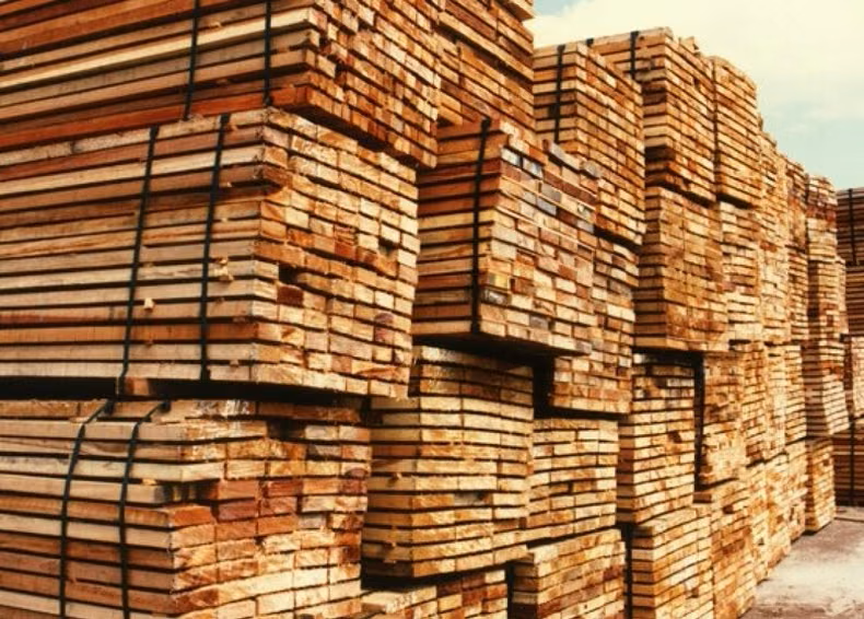 CORRIENTES IMPULSÓ SUS EXPORTACIONES EN EL PRIMER SEMESTRE LIDERADAS POR LA MADERA Y EL ARROZ